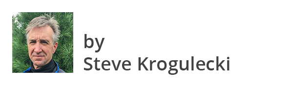 Steve Krogulecki
