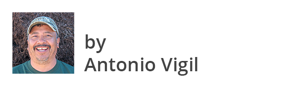 Antonio Vigil