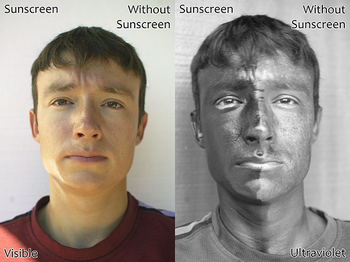 UV protection by sunscreen