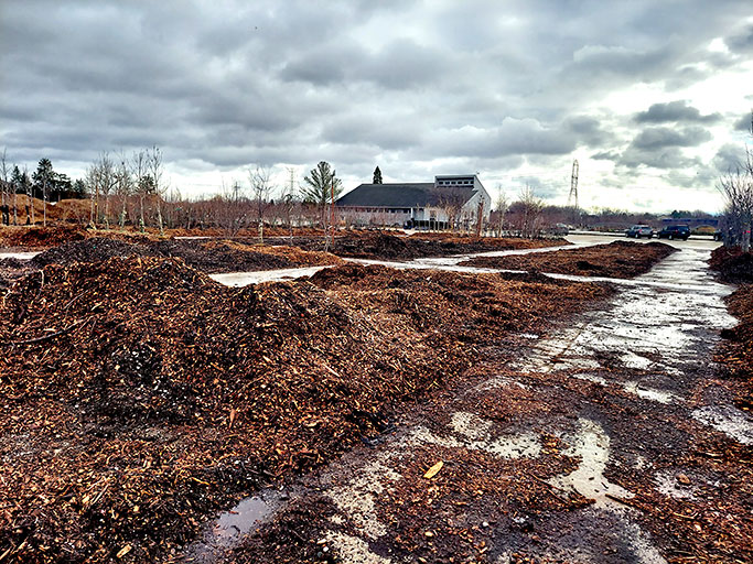 Empty tree lot at Christensen's Plant Center