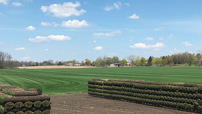 Van Agen Sod farm with blue skies and fresh cust sod next to the sod field