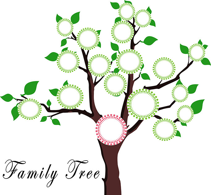 Family Tree Illustration