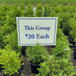 Sale group sign and shrubs