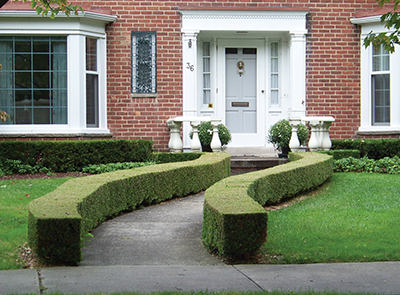 Photo 9 The Cattle Call Hedge