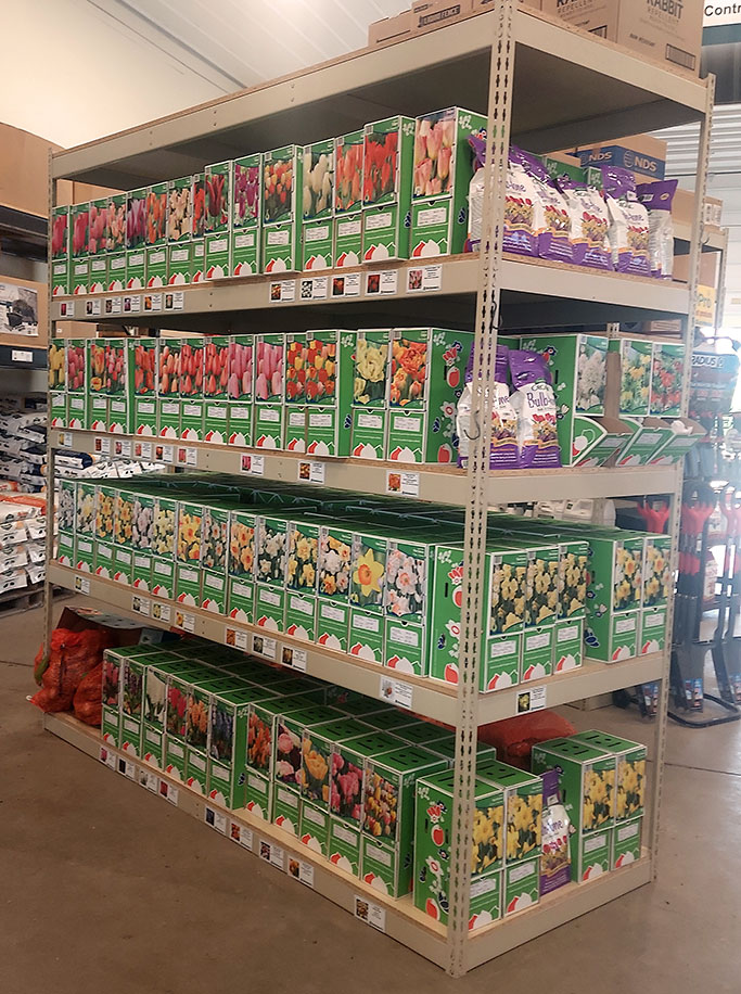 Boxes of Bulbs on a Shelf