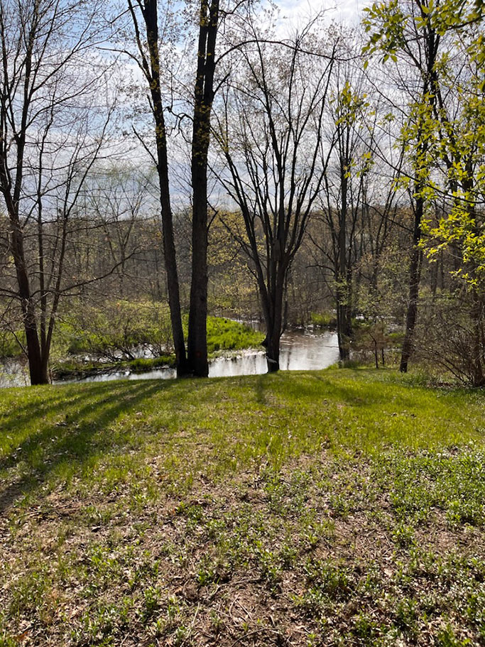 Scenic River