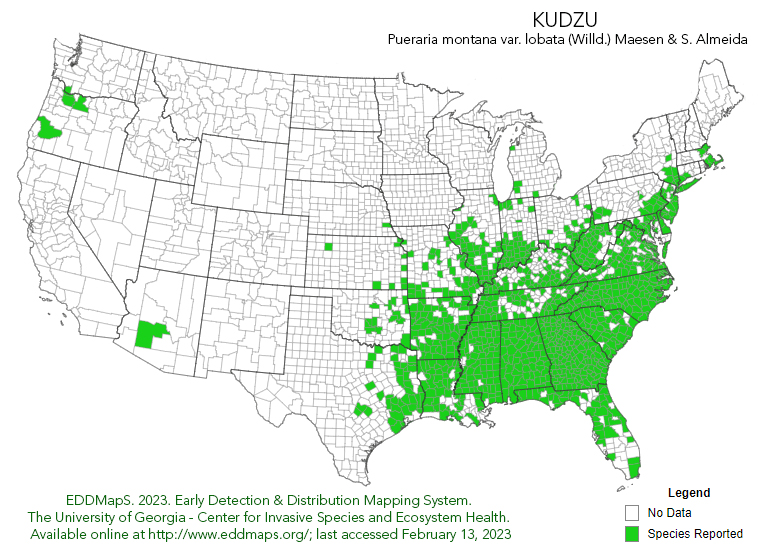 Kudzu Coverage Map 2023