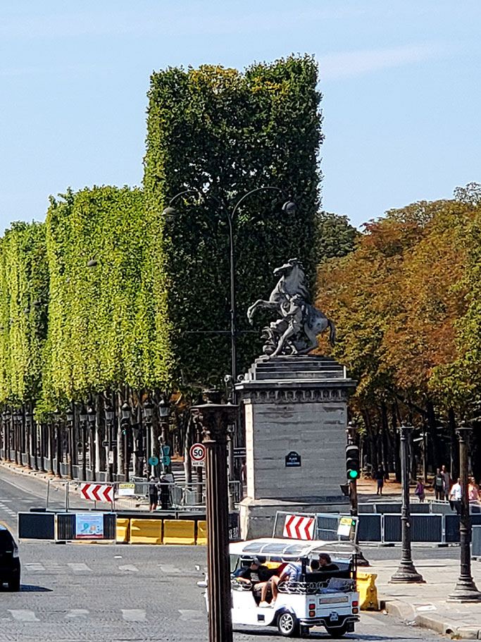 European Manicured Trees