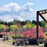 Oregon Nursery View