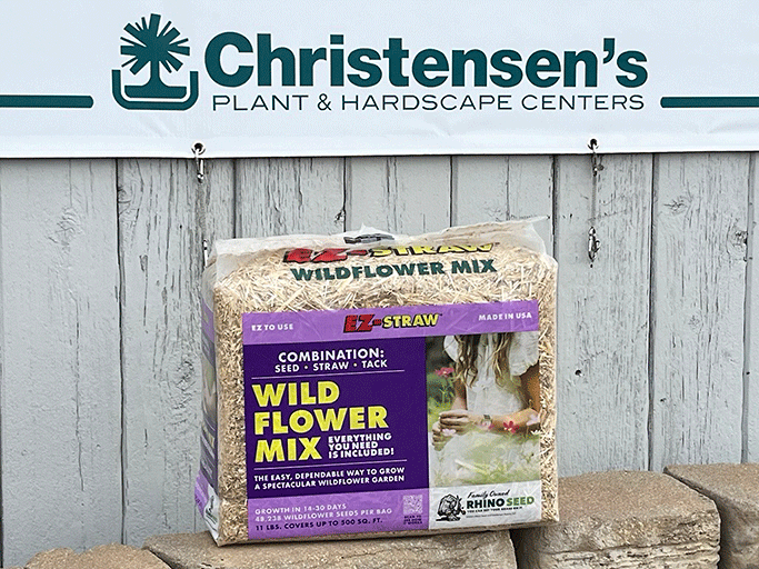 WildflowerMix_photoEJKJ