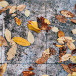 Tannin Stain Tips