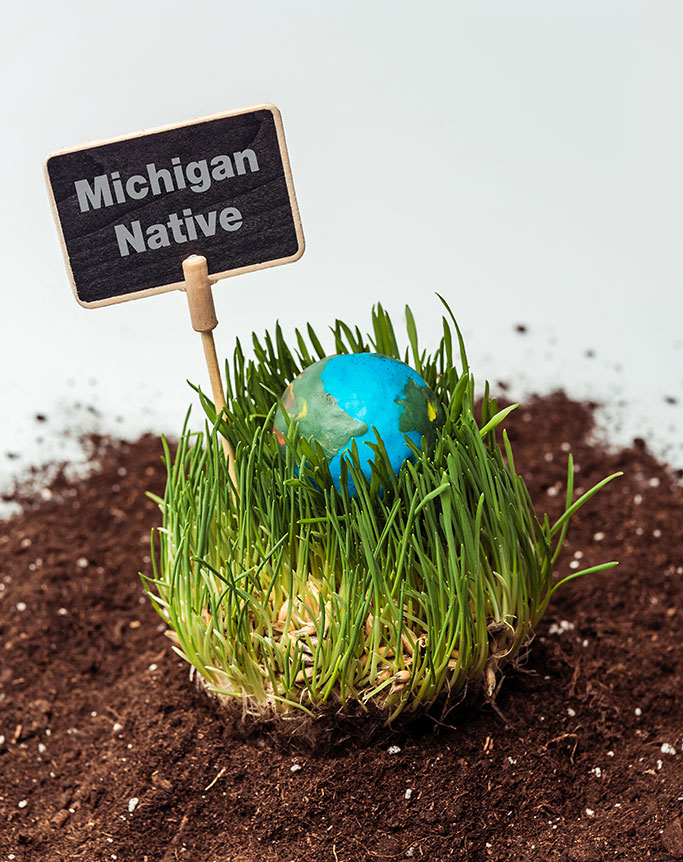 seedling-with-earth-model_photocreditEnvato_051225
