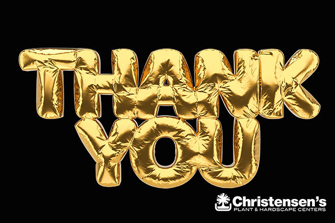 thank-you-balloon_photocreditEnvato